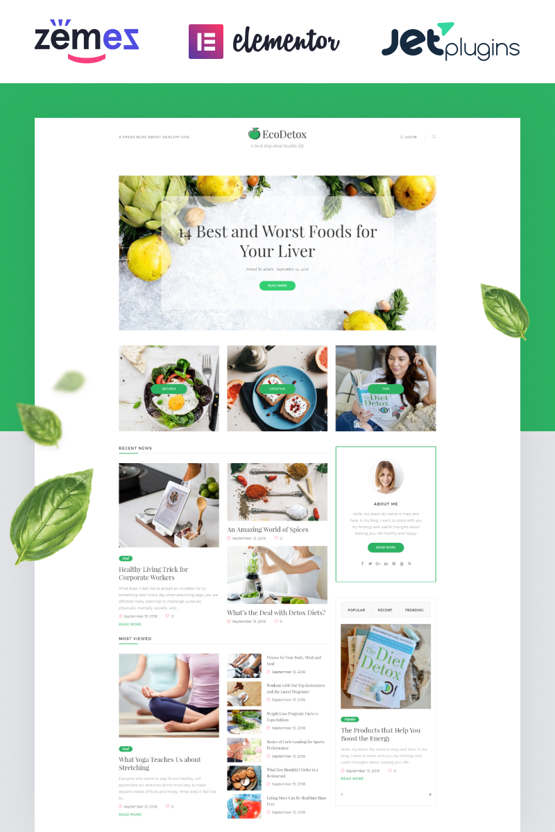 WordPress Theme namens "EcoDex - Fresh Food Blog Website For Healthy Lifestyle" #74693 - Screenshot