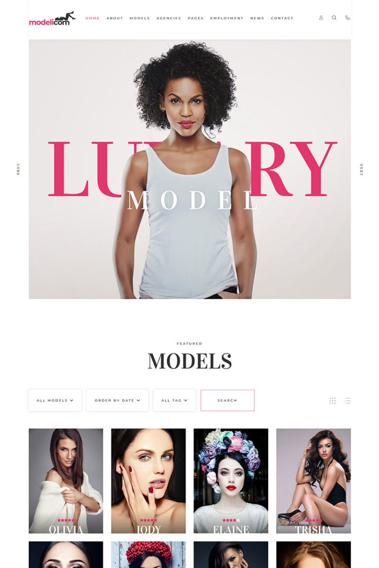 Modelicom Model Agency Portfolio WordPress Theme