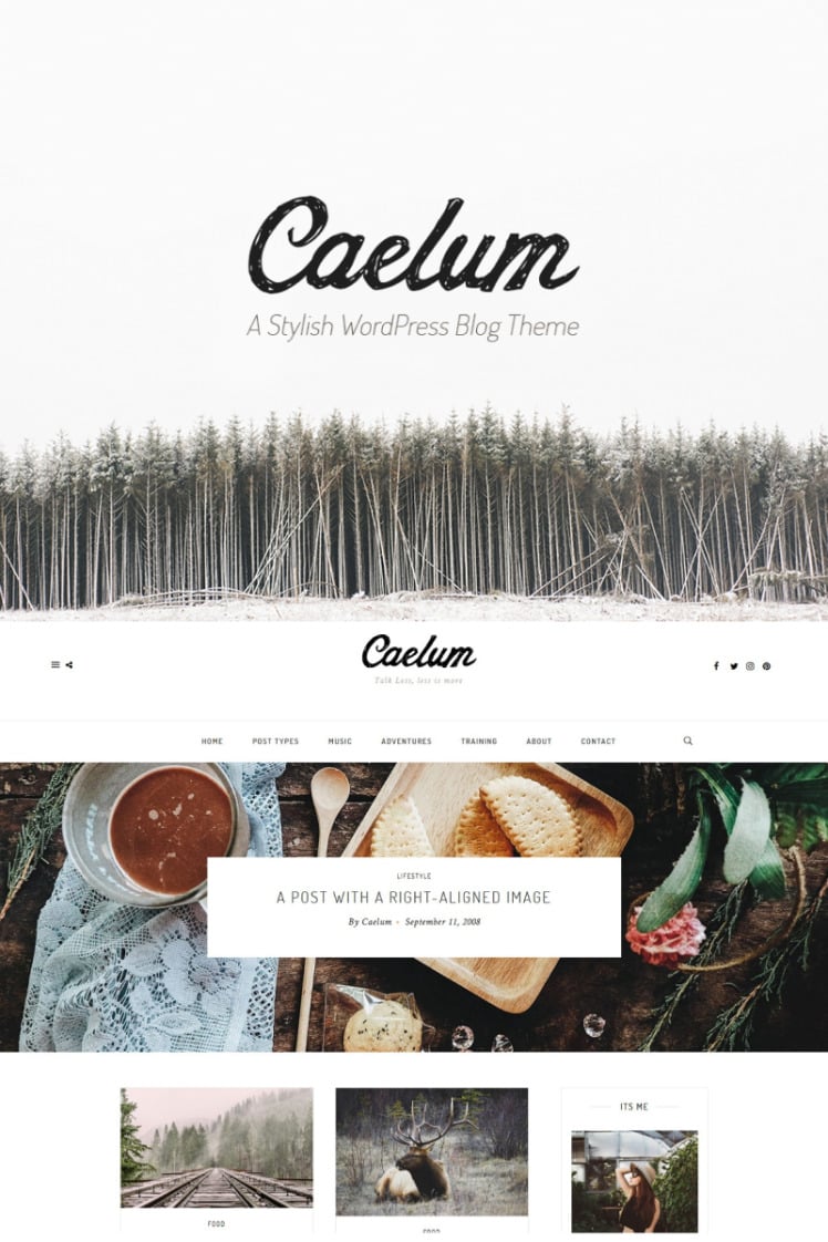Caelum Minimalistic WordPress Theme