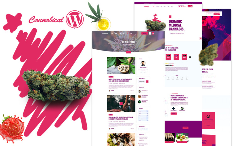 Cannabical Recreational Cannabis WordPress Theme