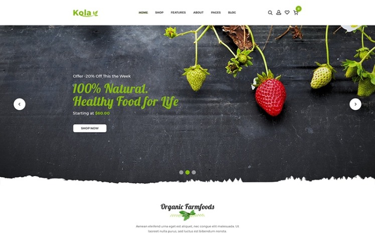 Kalo Health Organic Shopify Theme #110969
