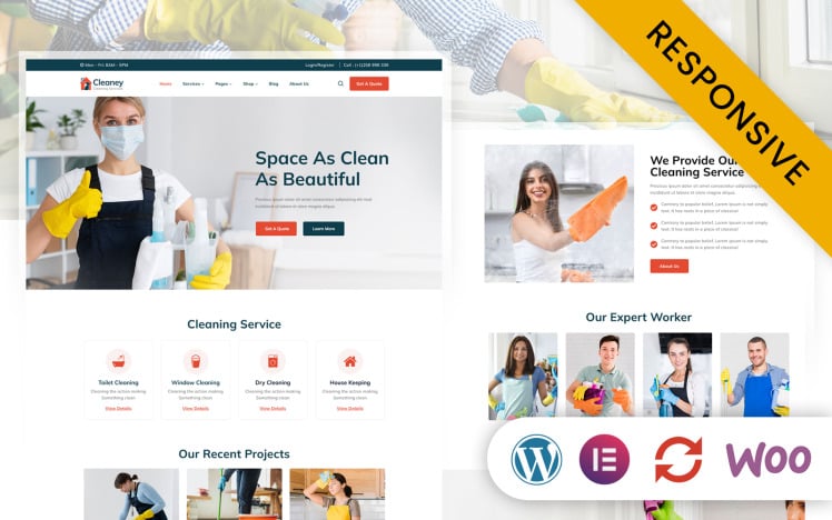 Cleaney - Cleaning and Maintenance Services Elementor WordPress Theme ...