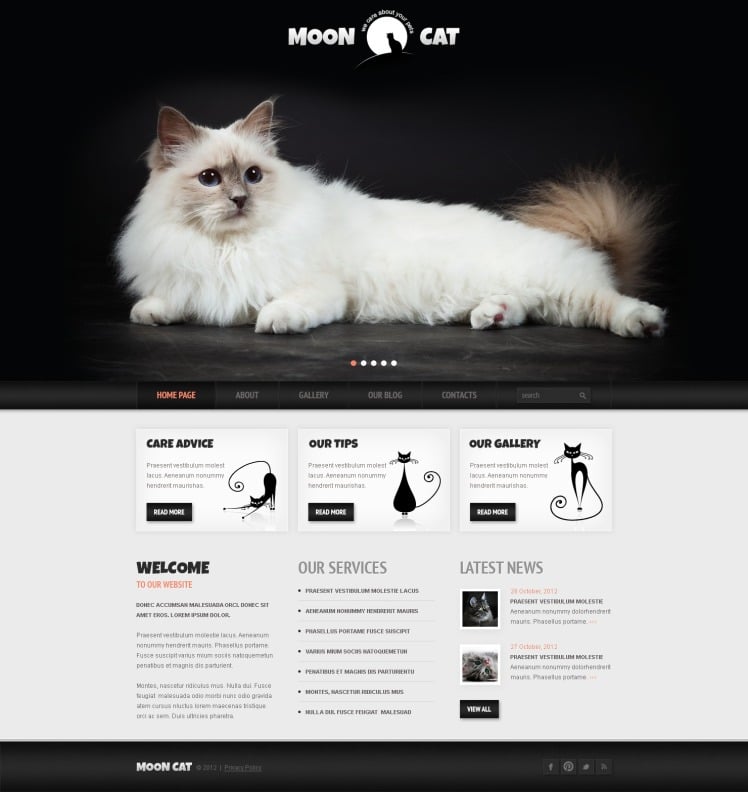 Conceptual Cat WordPress Theme