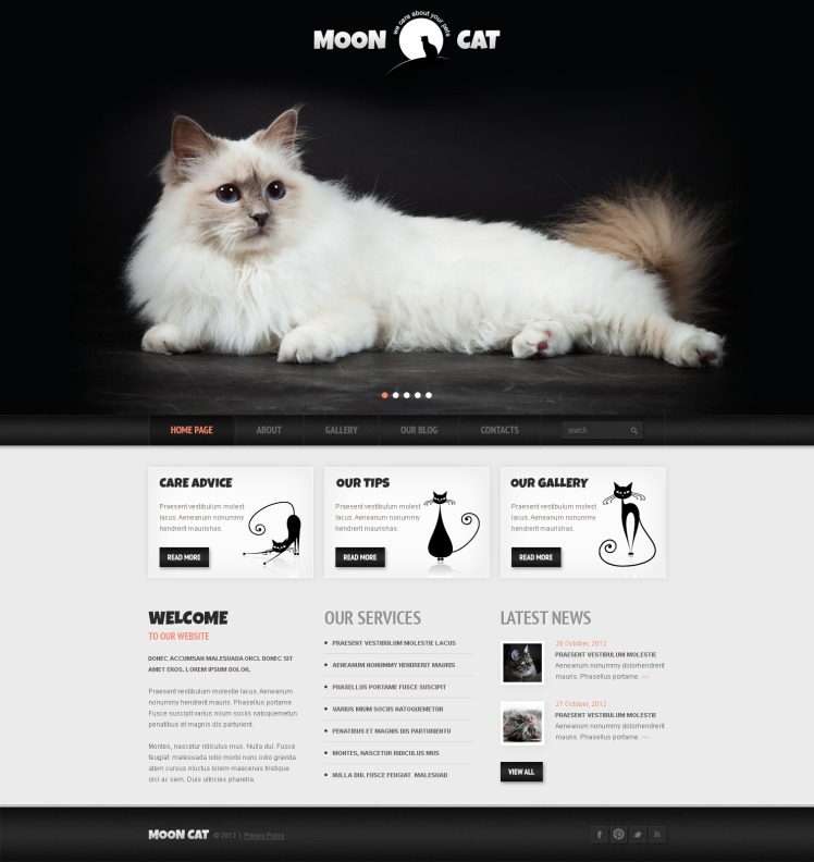Conceptual Cat WordPress Themes