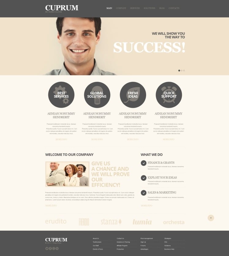 Business Solutions Online WordPress Theme
