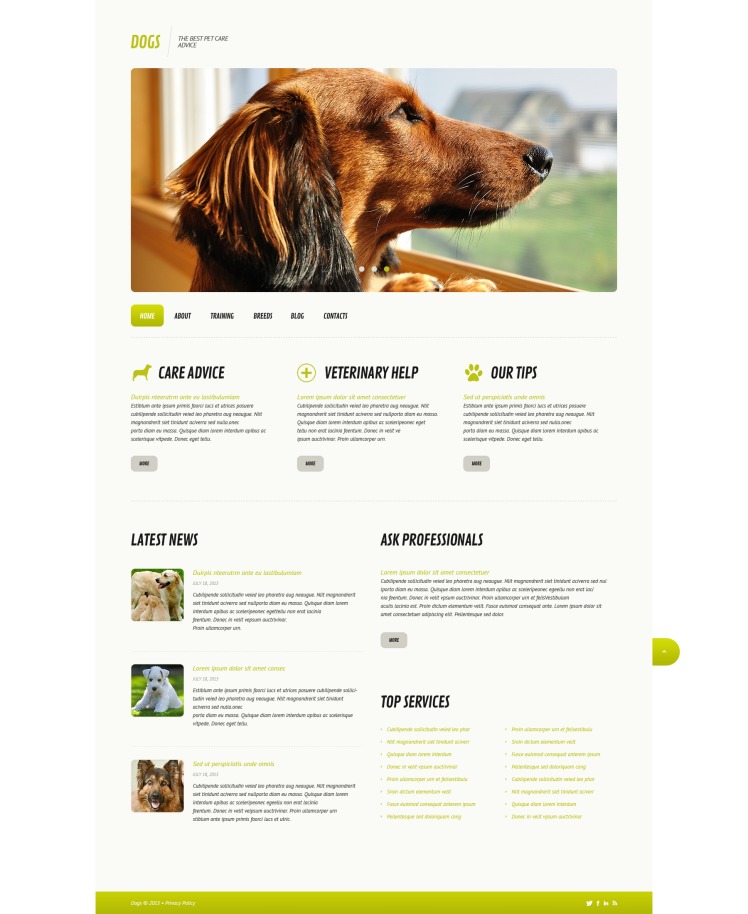 Dog Responsive WordPress Theme #45579