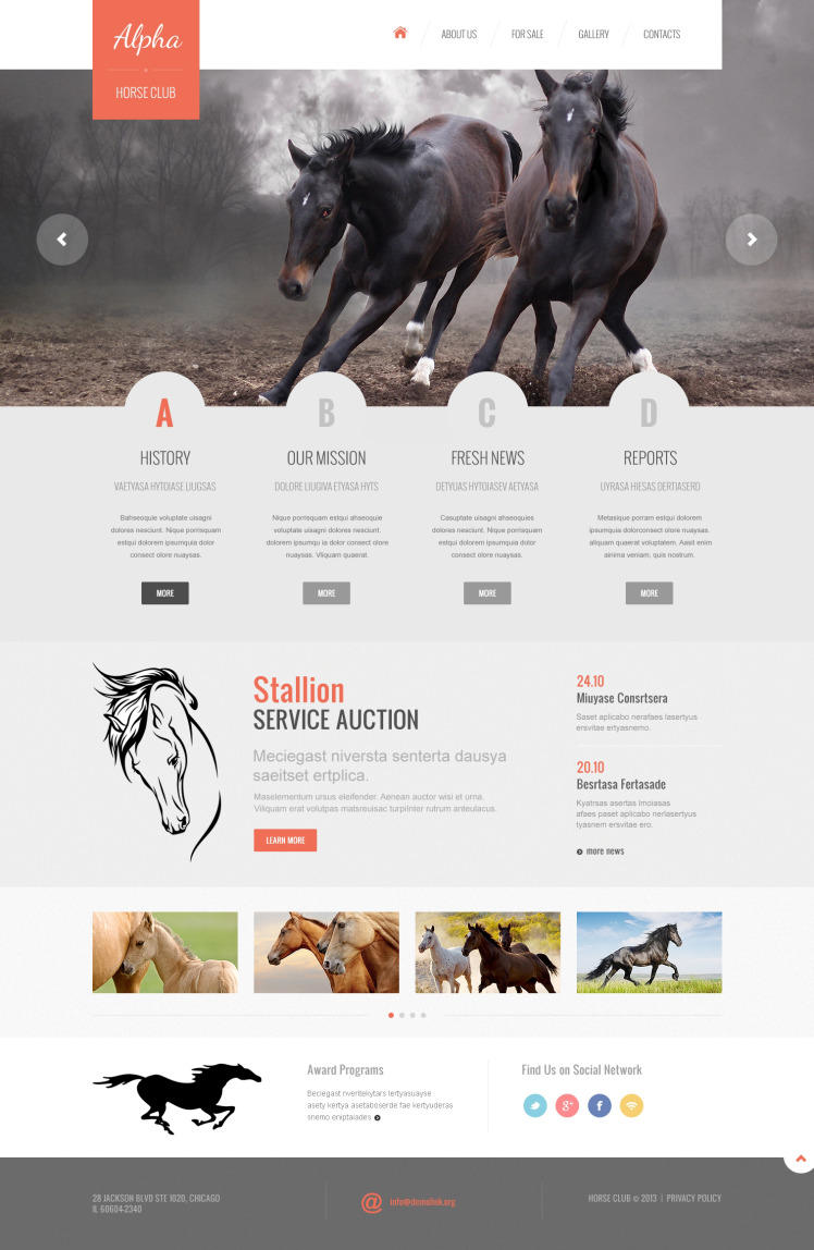 Horse Responsive Website Template #46921