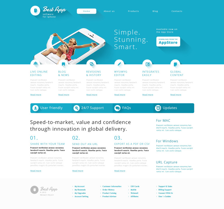 Software Company Responsive WordPress Theme #47009