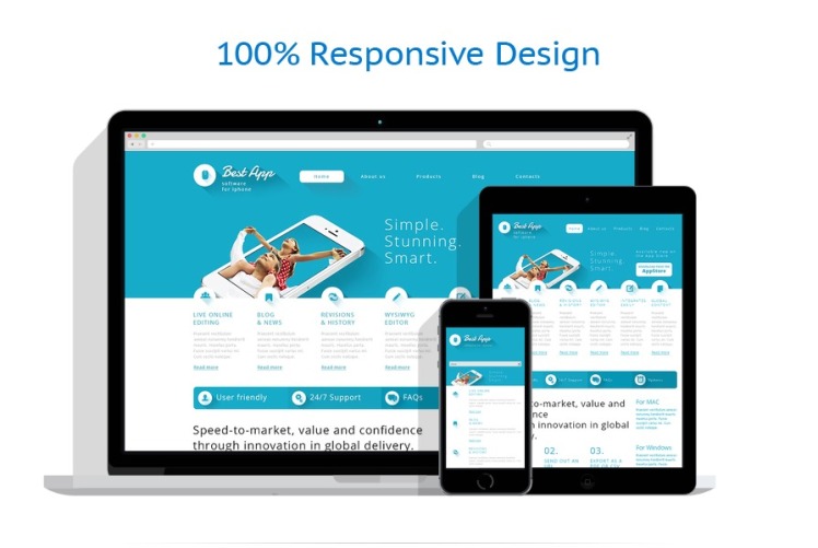 Software Company Responsive WordPress Theme #47009