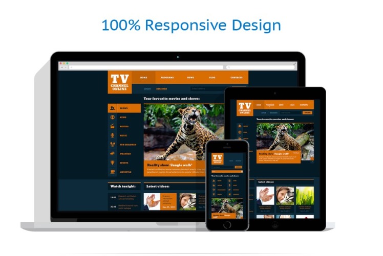 Fashionable TV Channel Website Template #47350