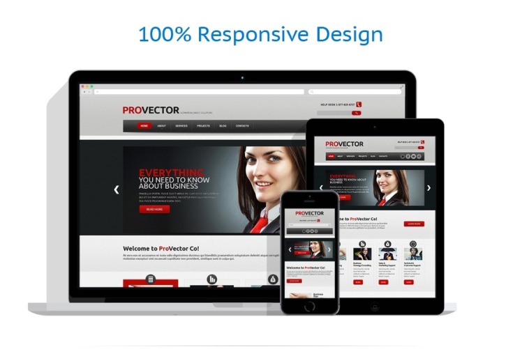 Financial Advisor Responsive WordPress Theme #47828