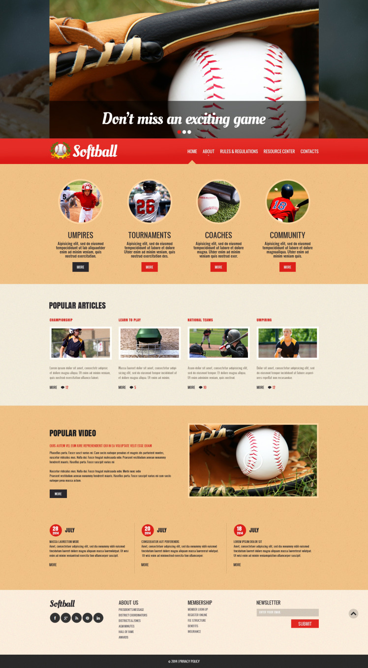 Baseball Responsive Website Template 48433