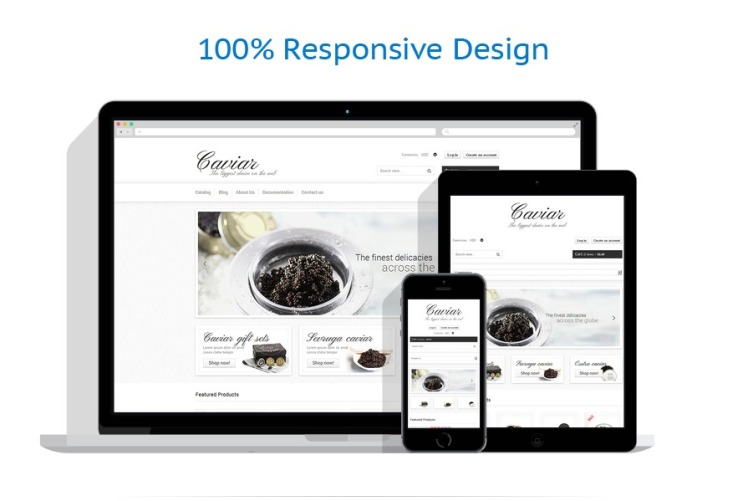 Food Store Responsive Shopify Theme #48645