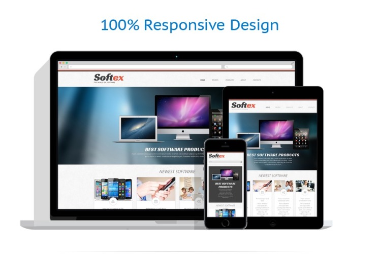 Software Company Responsive WordPress Theme #48635