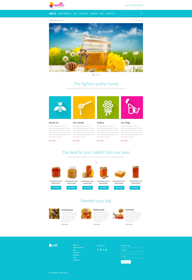 Food Store Responsive WordPress Theme