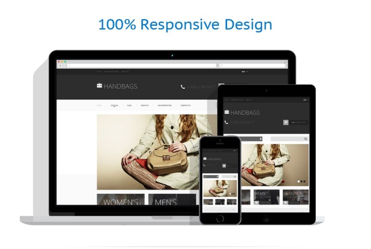 Handbag Responsive Shopify Theme #49203