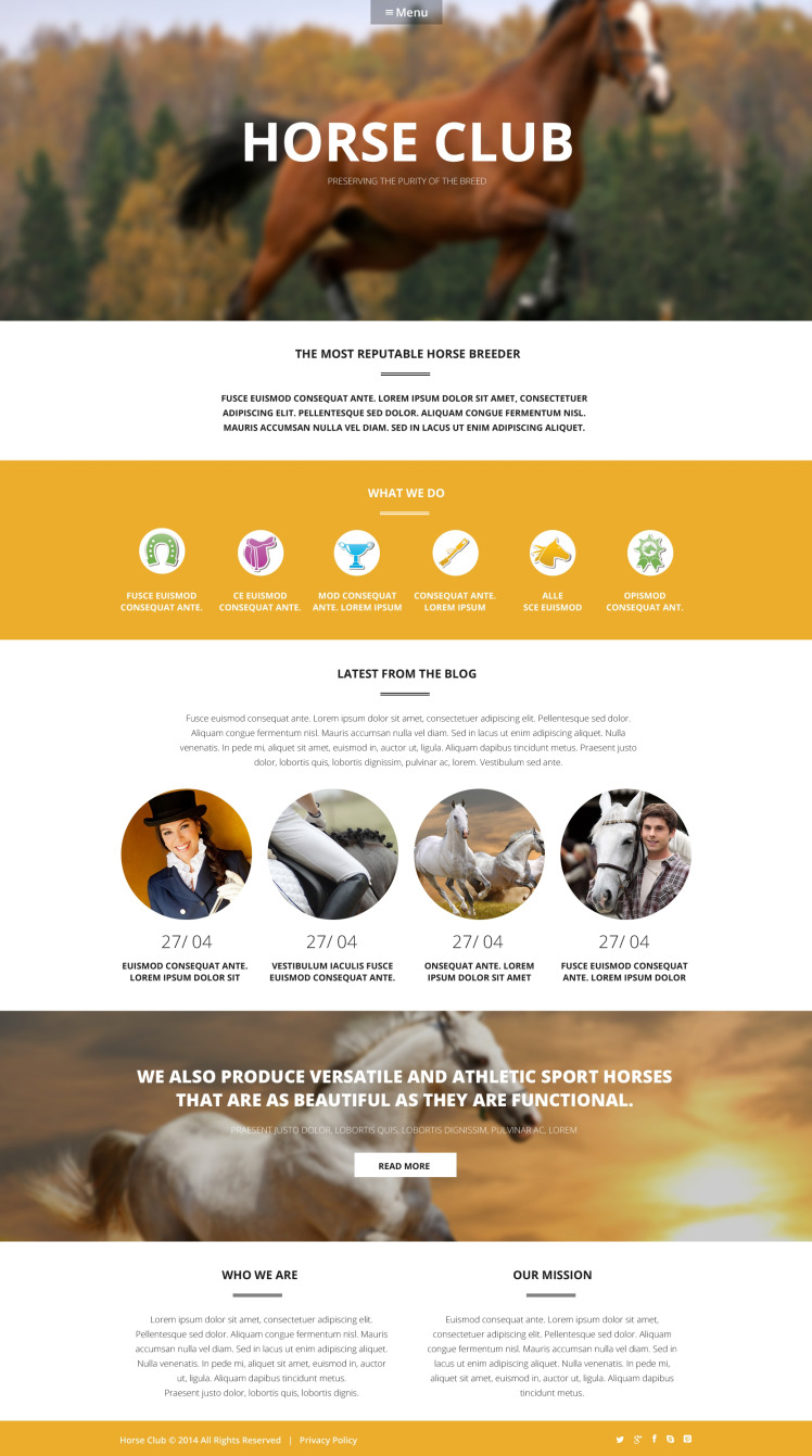 Luxury Horse Breed Care WordPress Theme