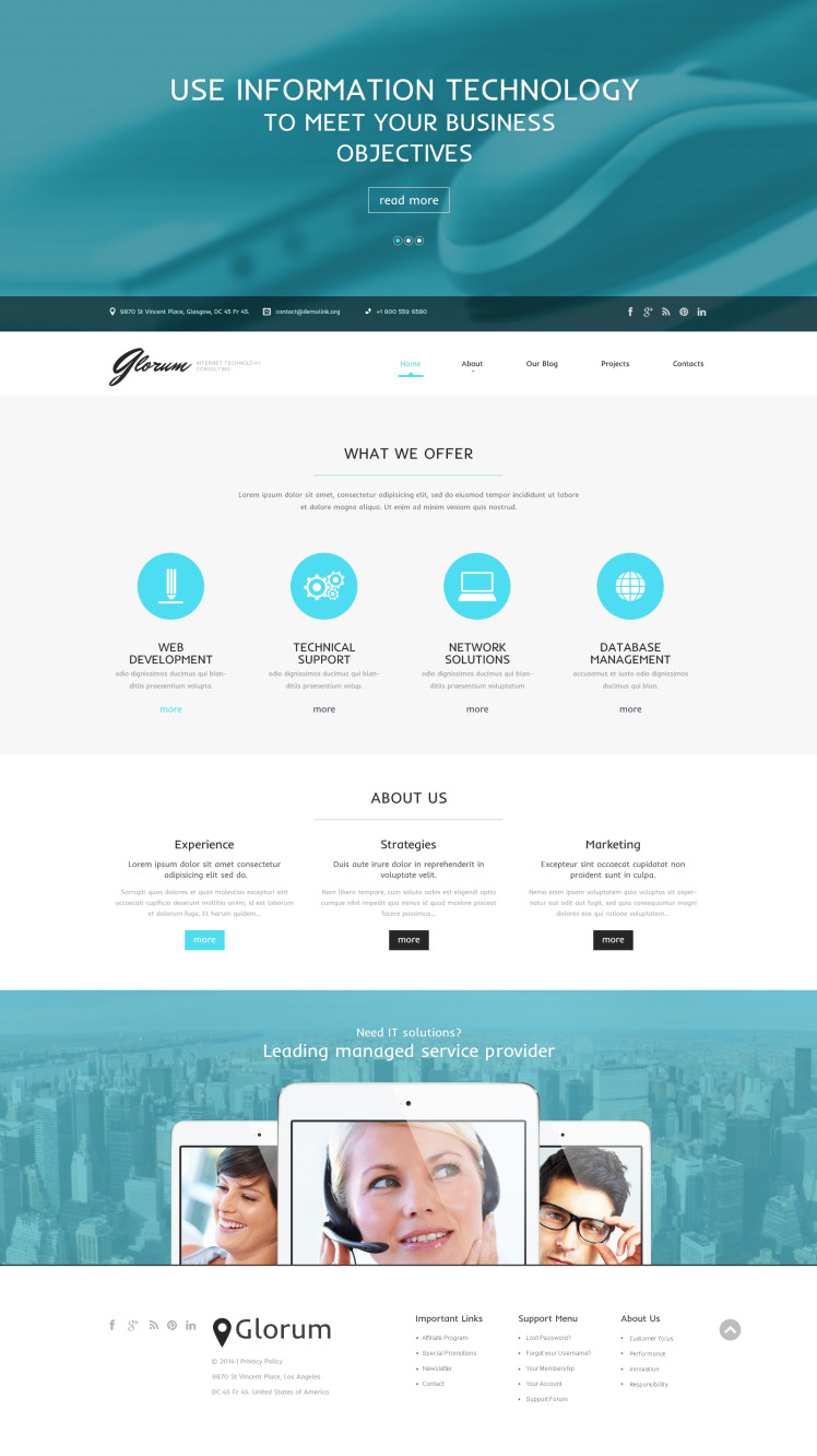 Internet Responsive WordPress Theme #50923
