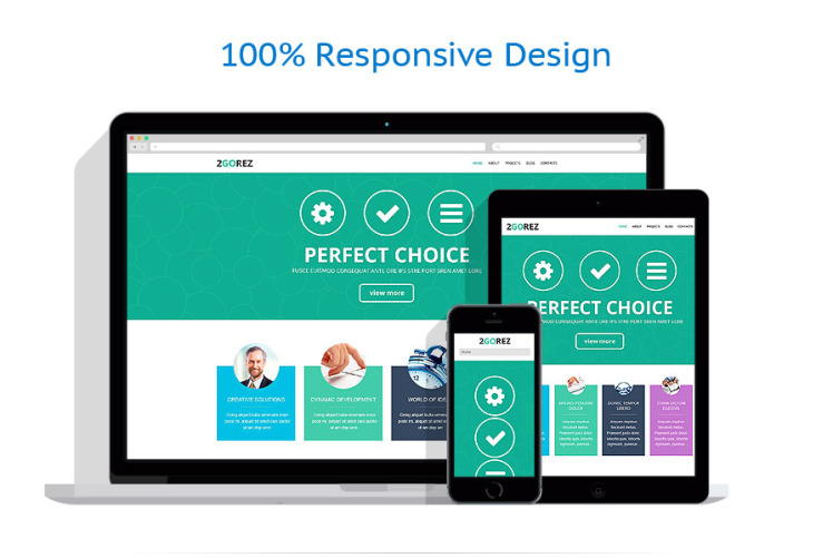 Financial Advisor Responsive WordPress Theme #52036