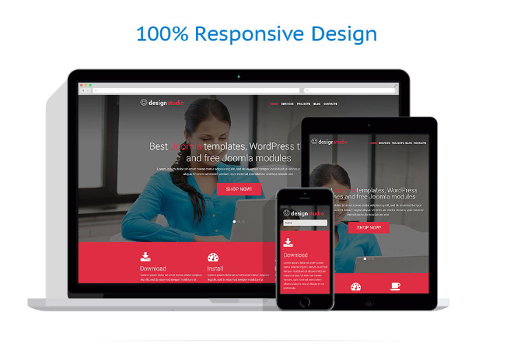 Design Studio Responsive WordPress Theme #52172