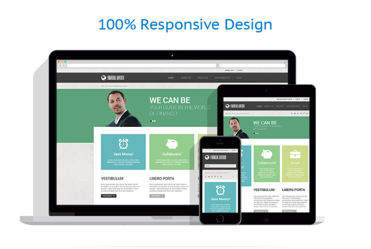 Financial Advisor Responsive WordPress Theme #52470