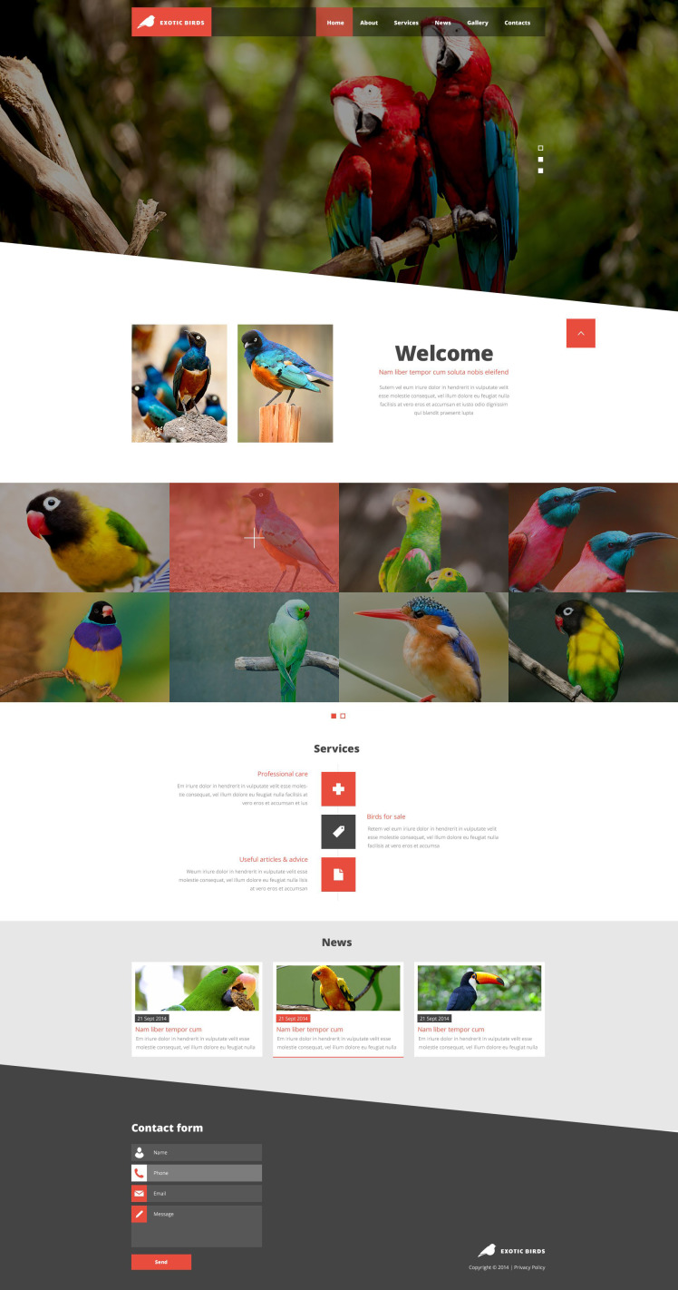 Exotic Birds Website Template #52570