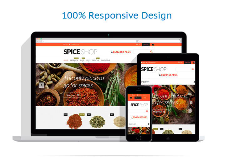 Spices for Cooking eCommerce Shopify Theme #52727
