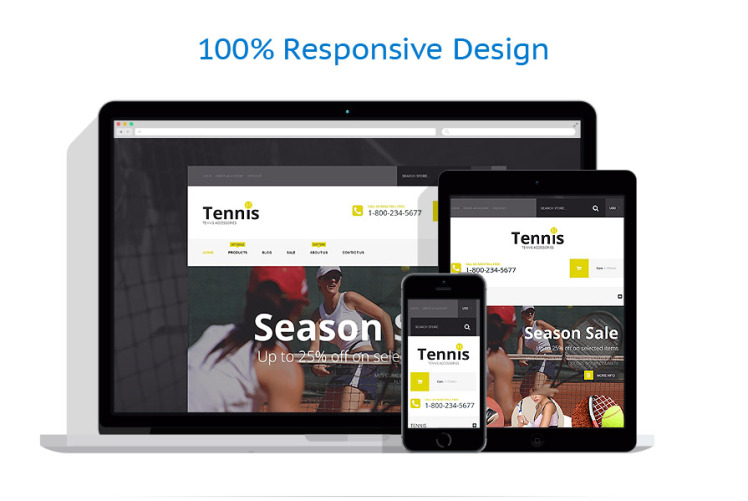 Tennis Accessories Store Shopify Theme #54548