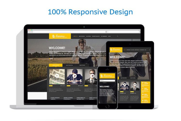 Financial Advisor Responsive WordPress Theme #54727