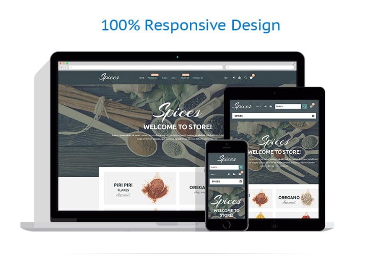 Flavor Fusion Responsive Spice Shop Online Store Shopify Theme #55213