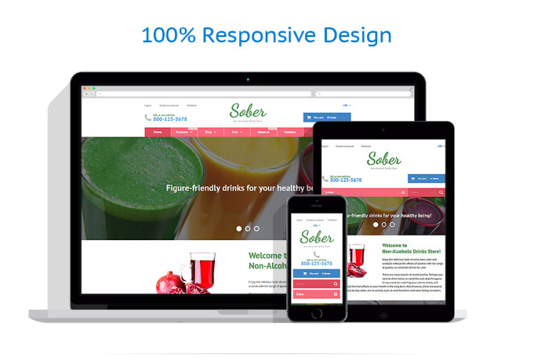 Sober Shopify Theme #55742