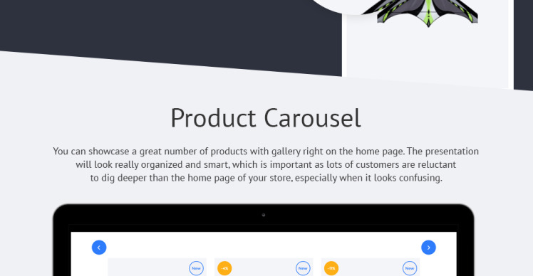 Extreme Shopify Theme #58030-8
