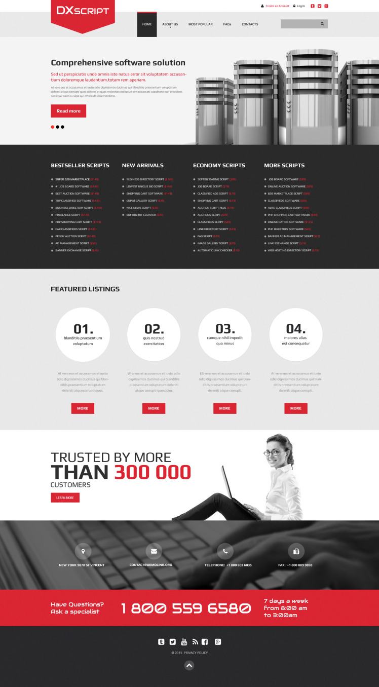 Software Responsive Website Template #58003