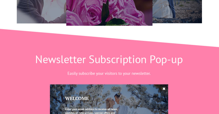 Wedding Store Shopify Theme #58236-5