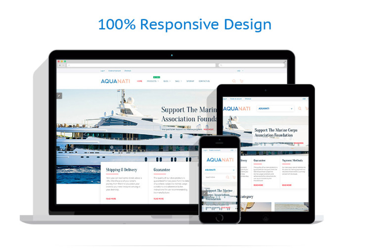 Aqua Nati Shopify Theme #58306