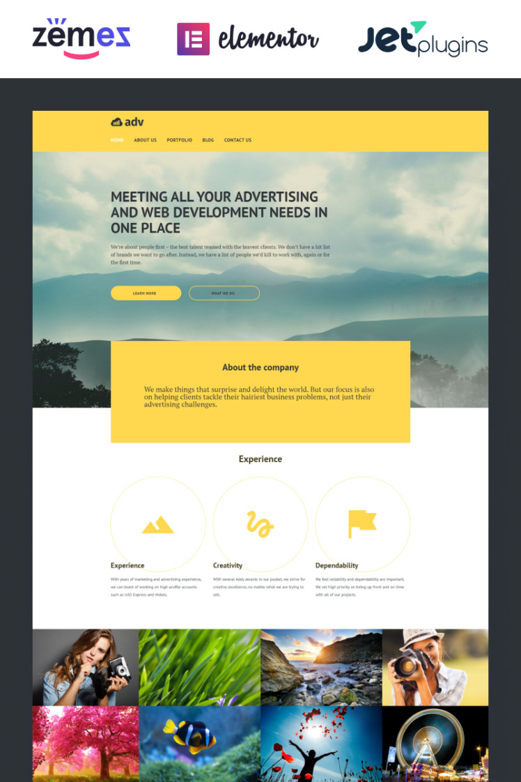 Adv WordPress Themes