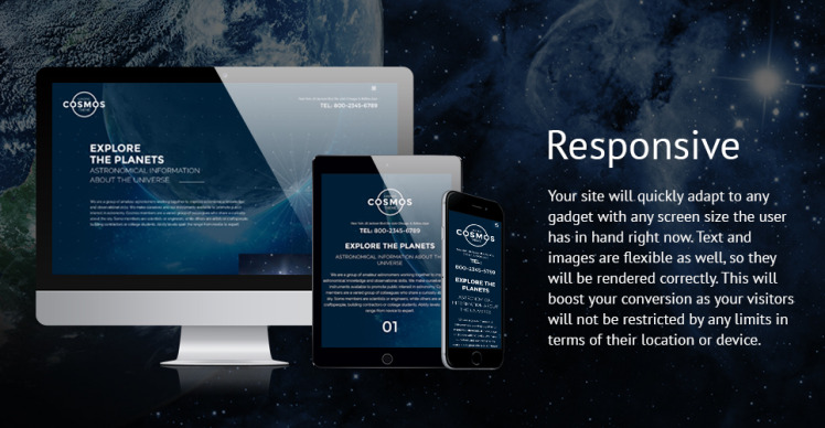 Cosmos Landing Theme Website Template #58596