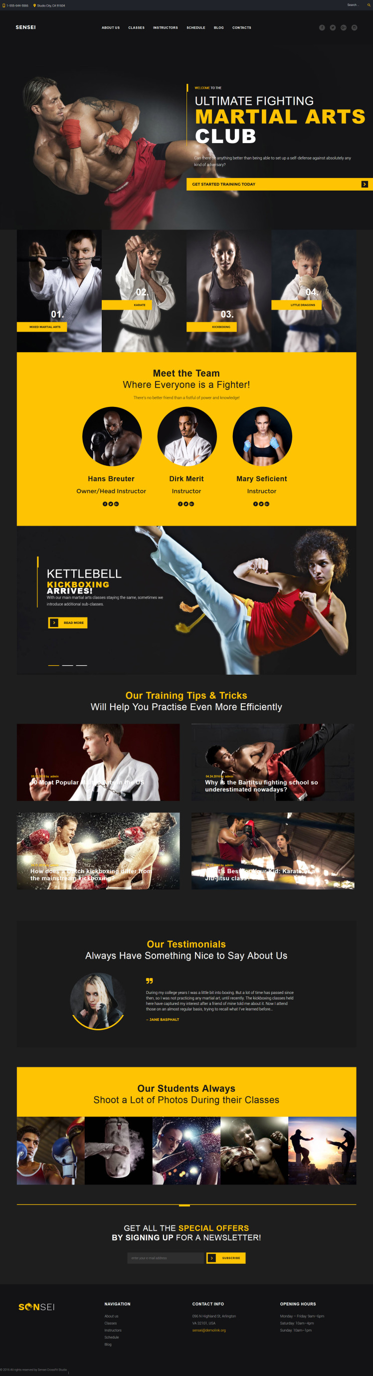 Sensei Martial Arts WordPress Themes