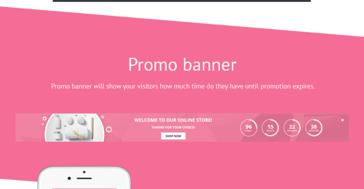 Spa Accessories Responsive Shopify Theme #61207-5