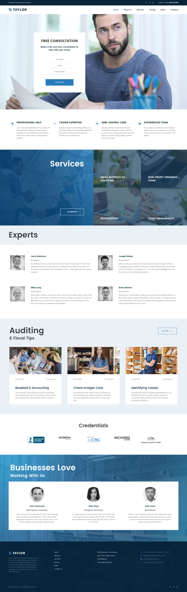 Taylor Financial Accounting WordPress Theme