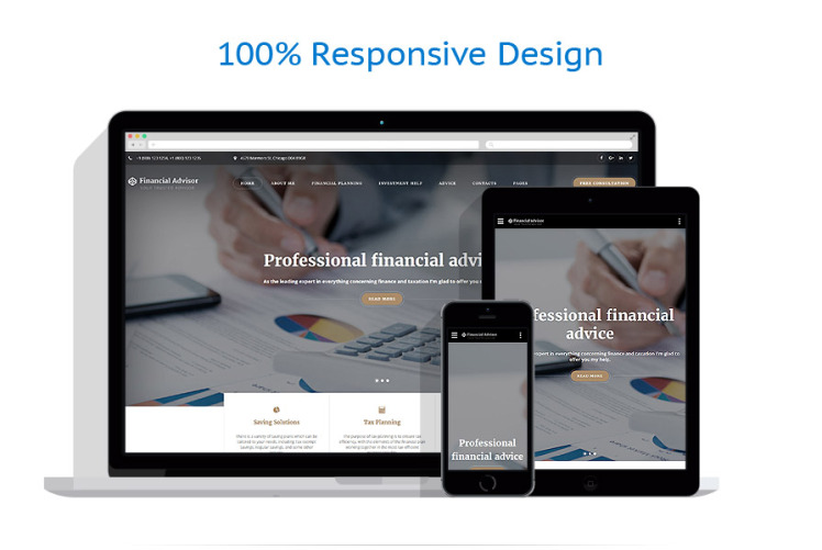 Financial Advisor Multipage Website Template #61309