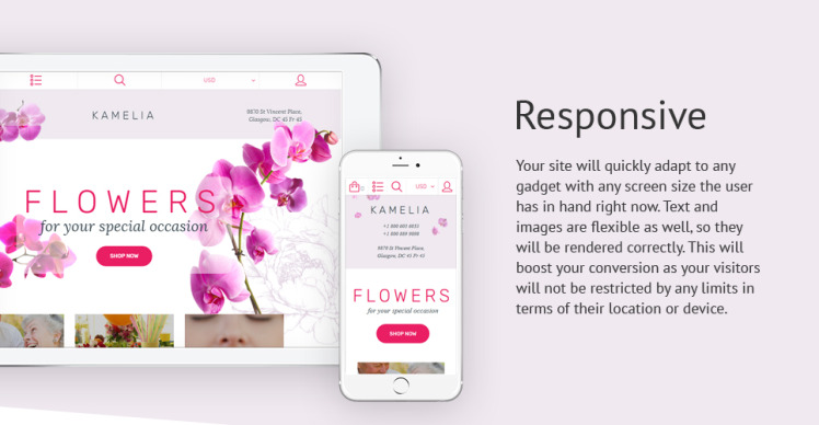 Flower Shop Responsive Shopify Theme #62003-1