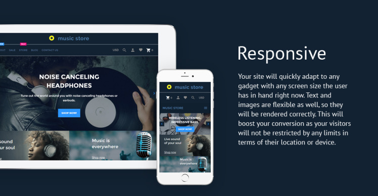 Music Store Audio Music Store Shopify Theme #62062-1