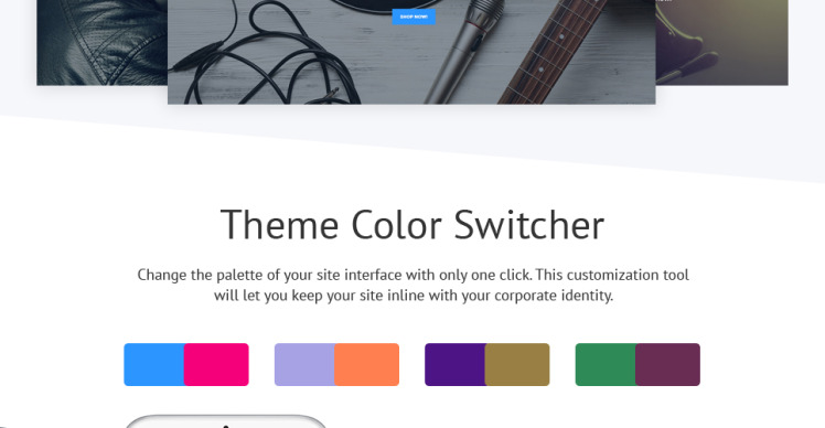 Music Store Audio Music Store Shopify Theme #62062-4