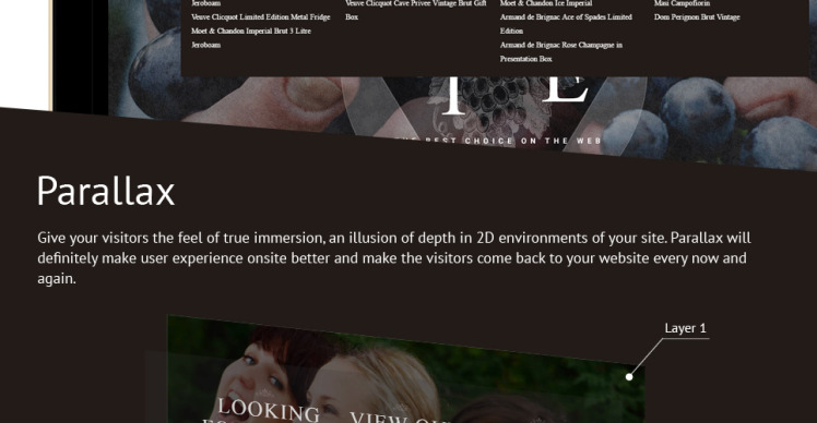 Wine Wine Shop Responsive Shopify Theme #62177-3