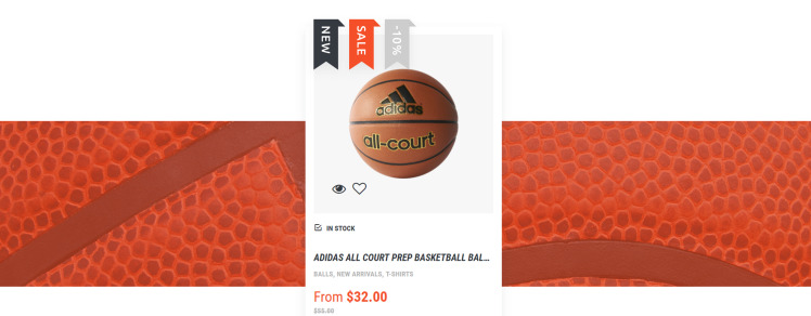 Basketball Responsive Shopify Theme #62457-5