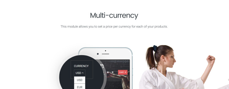 Martial Arts Responsive Shopify Theme #64086-8