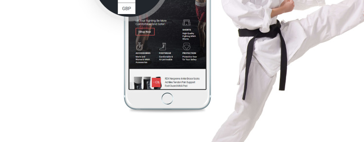 Martial Arts Responsive Shopify Theme #64086-9