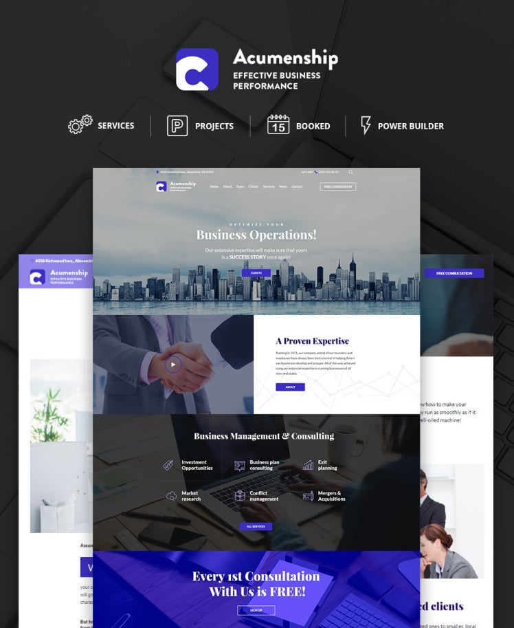 Acumenship Business Consulting Agency Responsive WordPress Theme