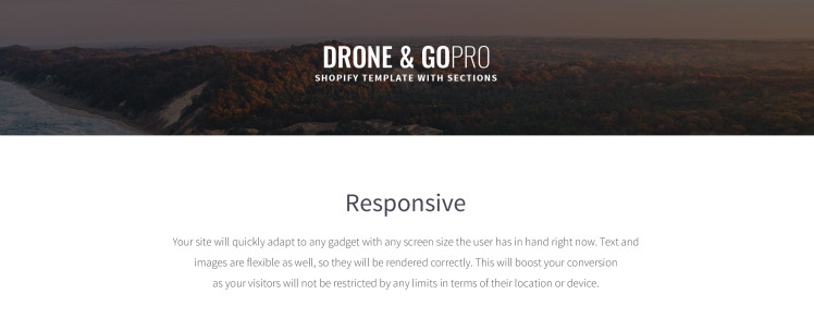 Drone Shop Shopify Theme #64131-1